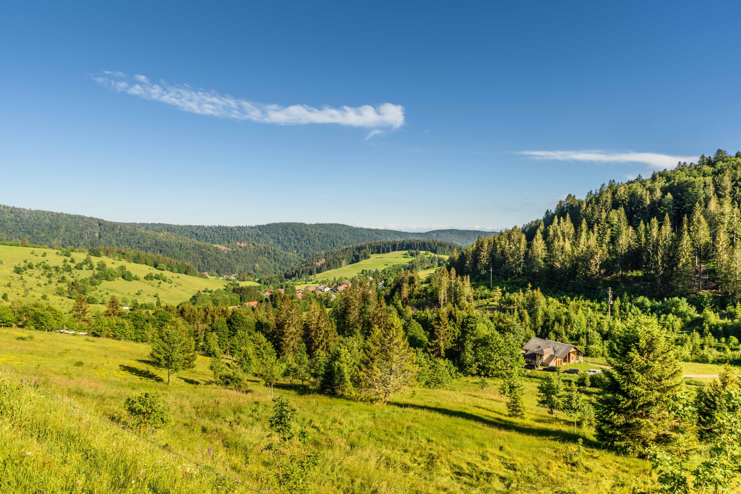 Landschaftsbild Schwarzwald